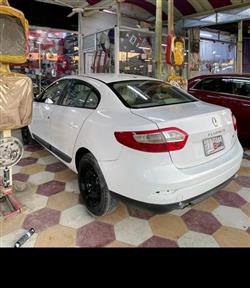 رينو فلوينس